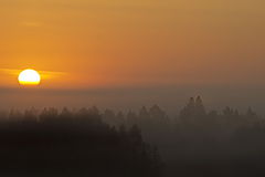 photo "***"