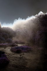 photo "***"