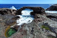 фото "Charco Manso"