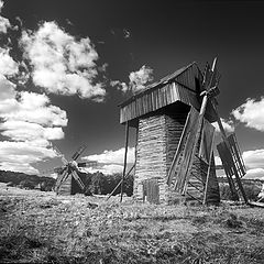 photo "MY SUMMER #3"