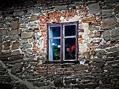 photo "***"