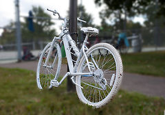 photo "White Bicycle"