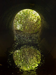 фото "Reflection in a Storm Pipe"