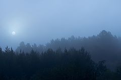 photo "***"