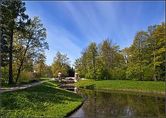 photo "In the summer in park"