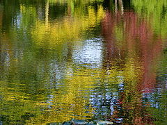 фото "Reflection in autumn"