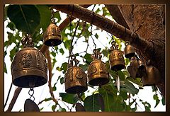 фото "bell 2"