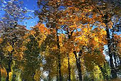 photo "October"