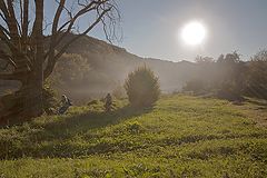 photo "Evening fog."