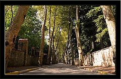 photo "Beykoz yolu"