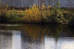 photo "***"