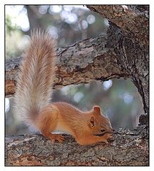 photo "Stock up"