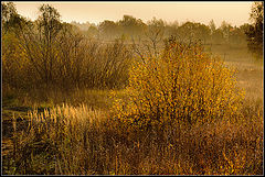 photo "***"