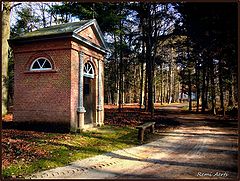 фото "forest chapel"