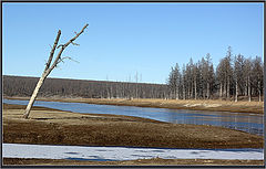 фото "Предзимье"