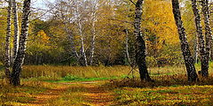 photo "***"