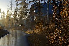фото "Летний дождь"