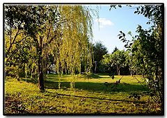 photo "***"