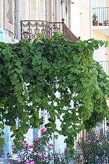 photo "balcony"