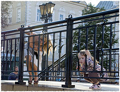фото ""Обезьянки""