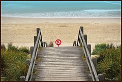 фото "swimming prohibited"