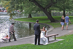 photo "The cycle of life (from right to left)"