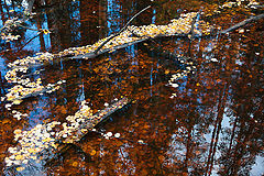 фото "клад"