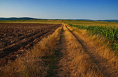 photo "A warm October"