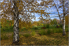 photo "***"