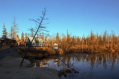 фото "Краски осени 4"