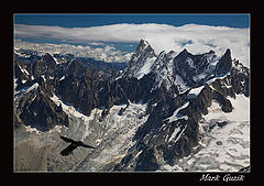 photo "Air patrol"