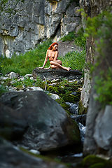 photo "The wood mermaid"