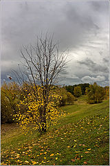 photo "***"