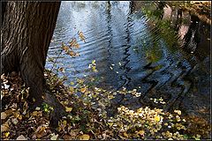 photo "autumn reflections"