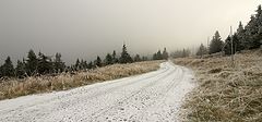 фото "winter road"
