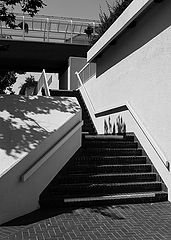 фото "*"