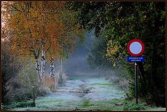 photo "Now another day"