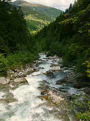 фото "water"