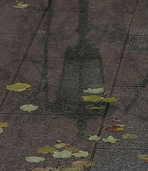 фото "***"