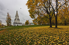 photo "***"