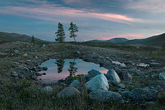photo "***"