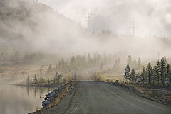 photo "***"