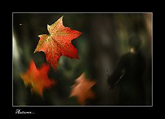 photo "Autumn..."