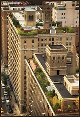 photo "Hanging gardens of New York City"