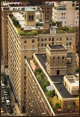 фото "Hanging gardens of New York City"