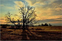 photo "***"