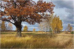 photo "***"