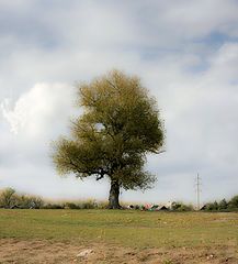 фото "Недалеко от города"