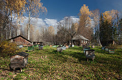 фото "Домики для пчел"