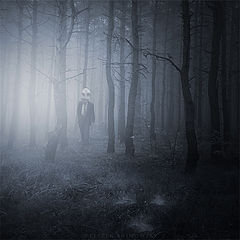 photo "Dreaming forest"